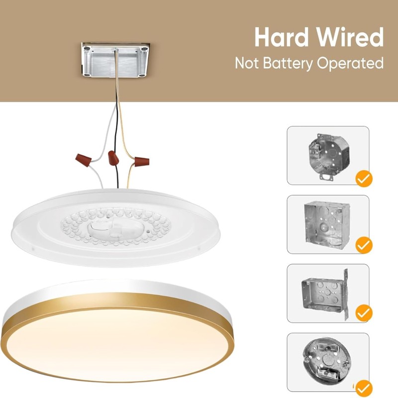Lightania 13 Inch Flush Mount Ceiling Light with Remote Control