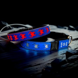 DOGLED USB-C led Light up Dog Collar, 3D Design Comfortable and Soft Material,Multicolored Lighting，Night Dog Collar (SP-Blue, M(15.7-19.7"))