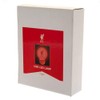 Storm International Liverpool EPL Crest LED Crest Light