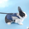 Rabbit Harness and Leash for Walking Escape Proof - Cute