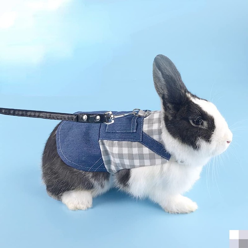 Rabbit Harness and Leash for Walking Escape Proof - Cute