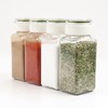 Takeya Fresh Rock Spice Bottle, 4.3 fl oz (110 ml),