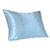 Luxury Satin Pillow Case (Queen, Blue)