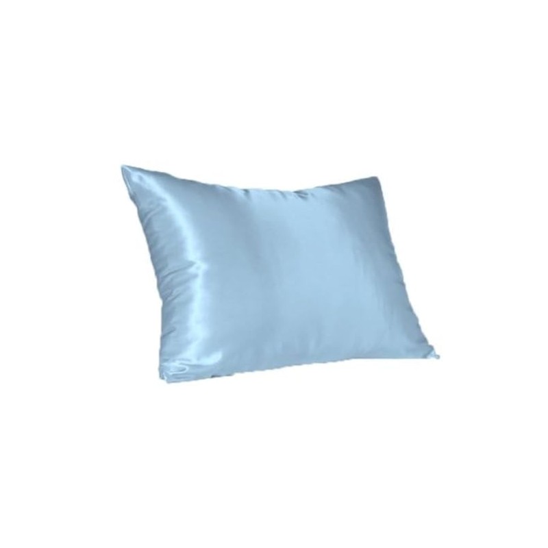 Luxury Satin Pillow Case (Queen, Blue)