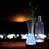 White Light Up LED Bottle Base Up Light