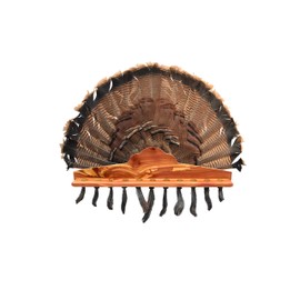 Whitetail Woodcrafters Turkey Beard Plaque with Fan Mount- Standard Hardwood