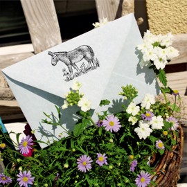 Dekolando Motif Stamp Donkey Standing in the Meadow – Wooden Stamp Animals Farm – Imprint 48 x 38 mm