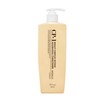Esthetic House CP-1 Bright Complex Intense Nourishing Conditioner 500 ml