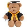With Heart Medium Graduation Bear Plush Toy with Scroll, 24