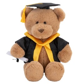 With Heart Medium Graduation Bear Plush Toy with Scroll, 24 cm Size