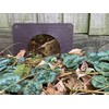 Linic Products UK Made Hedgehog Highway Gate/Surround for Fences, etc.