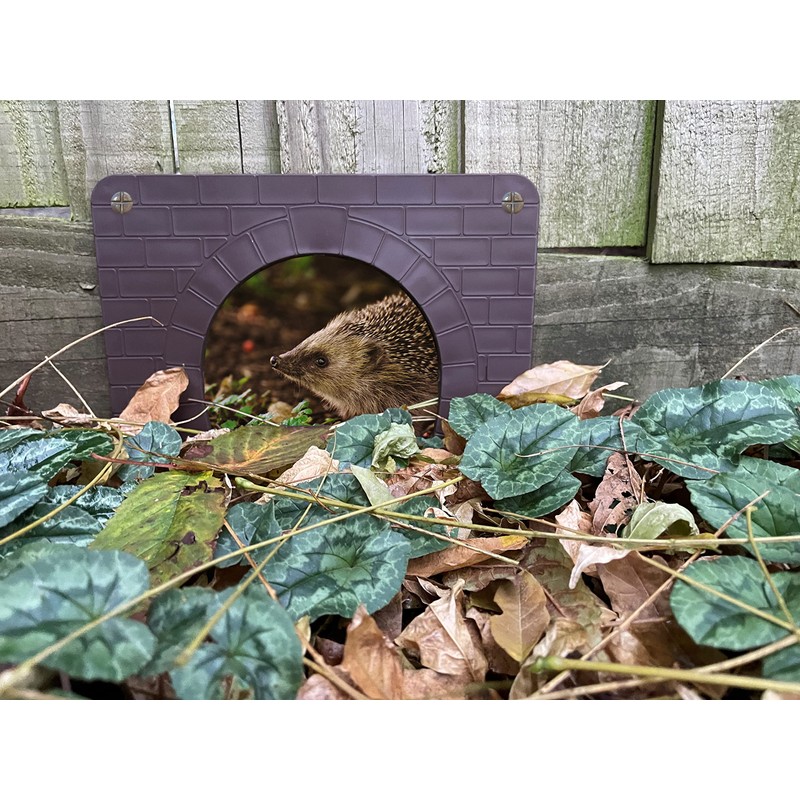 Linic Products UK Made Hedgehog Highway Gate/Surround for Fences, etc.