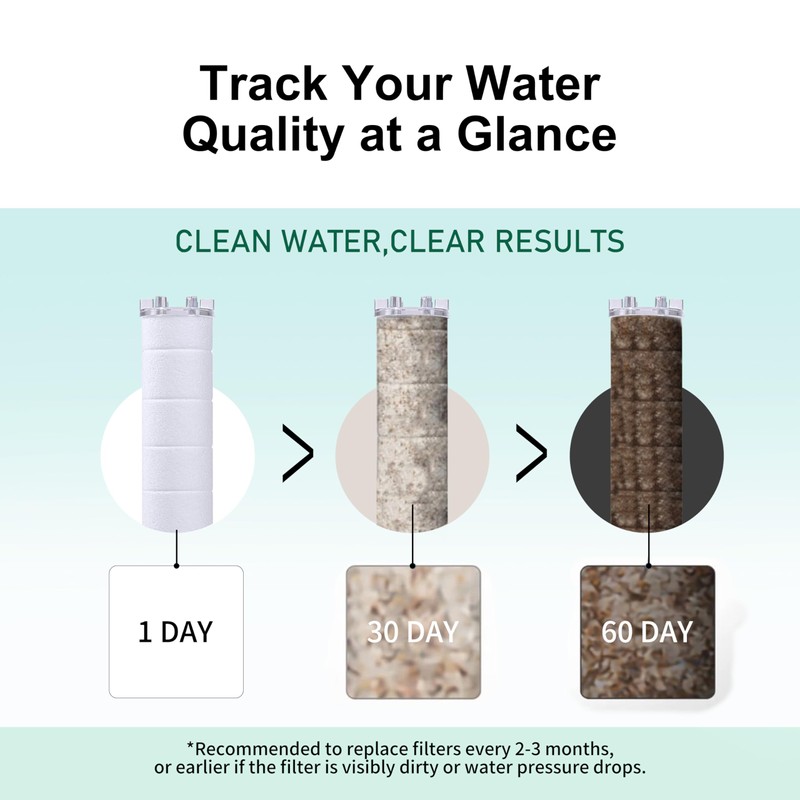 Visible Handheld Filtered Showerhead With Vitamin C, & Calcium Sulfite