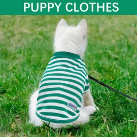 2 Pieces Puppy Clothes Summer Dog Shirt Cute Soft Dog Shirt for Small Dogs Bresthable Chihuahua Cat Clothes XS~XXL Pet Clothing (Green, Small)