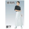 TRUSCO Antimicrobial biniron Waist Apron Waist Bottom Blue