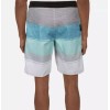 Rip Curl All Time Boardshorts, Multi, Men's 33