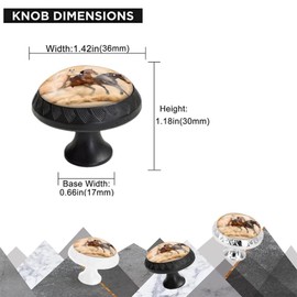 Elohiym 6 Pack Black Drawer Pulls Knobs, Running Horses Cabinet Knobs Crystal Glass Dresser Knobs for Kitchen Bathroom Hardware