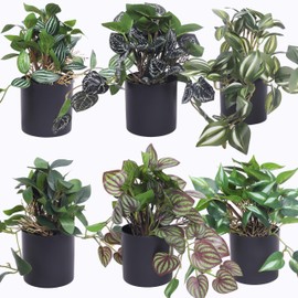 HZYZZYQ 6 Pack Artificial Potted Plants - Fake Trailing Greenery with Unique Variegated/Striped/Dark-Veined Leaves - Small Faux Plants for Desk, Bathroom, Shelf Decor - No Watering Needed