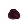 Tinte Permanente Recargado Colortech Nutrapel (R.665 Rojo Intenso Caoba)