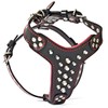 Bestia studded leather harness. French Bulldog size. 100% leather. Handmade
