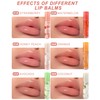 NebulaGlam Fruity Moisturising Lip Oil, 6 Sticks Lip Gloss Moisturising