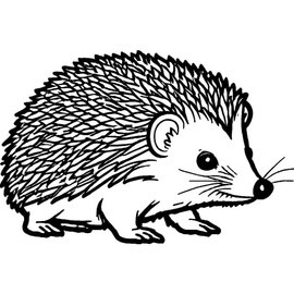 'Cute Hedgehog' Rubber Stamp - Unmounted Design for Crafting & Scrapbooking, A8 (RS00052648)
