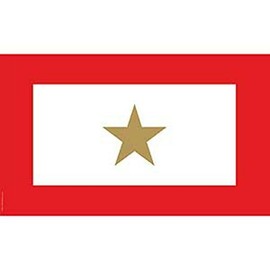 Gold Star Family Member Service Super Poly Full Sized Flag by EE