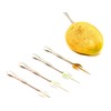 Mango Fruit Fork Set (4)