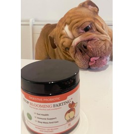 Digestion Dogs Treats Prebiotic Probiotic - Gut Health, Loose Stools, Sensitive Tummies, Anal Glands, Scooting, Smelly Itchy Ears, Enzymes Great for all dogs | Stop Blooming Farting | Pets Calm Down
