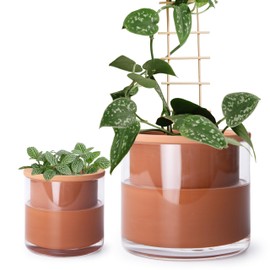 Phoenix Vine 4 Inch 6 Inch Self Watering Plants Pots, Design Terracotta Pots for Plants, Indoor Cylinder Terra Cotta Planter with Glass Vase Set, 51-A-G-46