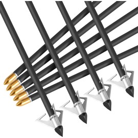 DEEPOWER 6 Pack 31 inch 100% Carbon Arrows with Lighted Nocks and Broadheads for Compound Bow and Recurve Bow Shaft Spine 350/400/500