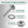 DSM - Carriage Bolts M5 x 25 mm DIN 603