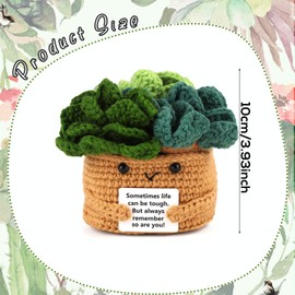 lasuroa Positive Flower Pot, Crochet Flower, Positive Succulents, Crochet Pot, Positive Plants with 6 Crochet Coasters for Party Decoration, Encouraging Gift