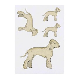 4 x 'Bedlington Terrier' Temporary Tattoos - Water Resistant, Skin-Safe, Non-Toxic Transfers, Mixed Sizes (TO00085870)