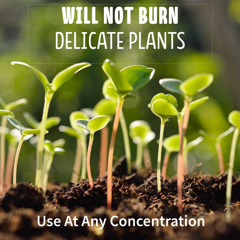 Ribbon Organics OMRI Certified Organic Compost Size: 7.9 Gallons, 32-35