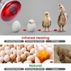 YEAOI Heat Lamp for Chickens Coop Brooder and Reptile Heat