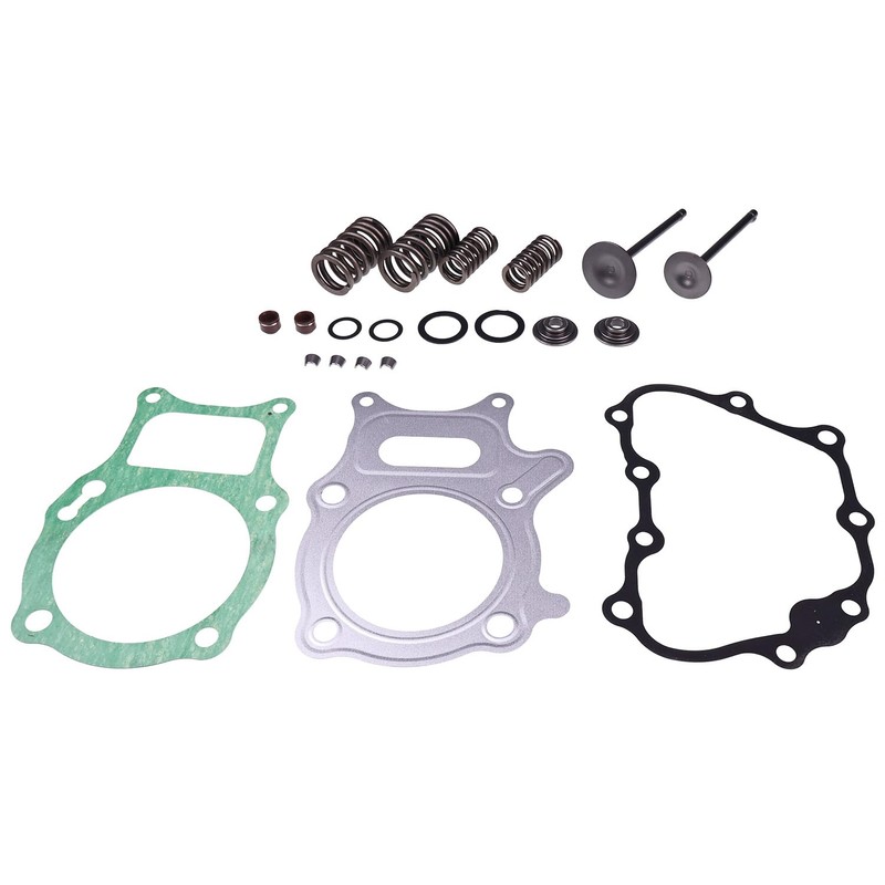 Lesurey Cylinder Head Valve Gasket Kit Compatible with Honda TRX250TM