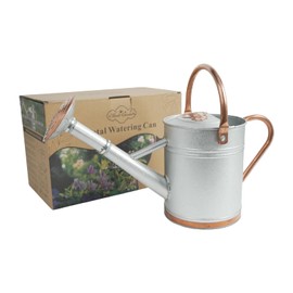 1 Gallon Galvalume Metal Watering Can with Solid Brass Sprout, Handle & Base Trim - Genuine Forged Copper Joints for Indoor/Outdoor Plants, Garden, Balcony for Kids and Adults (Stardust & Vermilion)