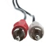 50ft 3.5mm Stereo Male to 2RCA Male (Right and Left)