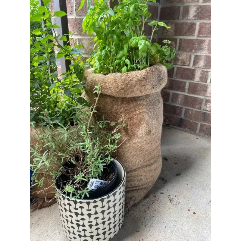1 22x36 Burlap Bags, Burlap Sacks, Potato Sack Race Bags,