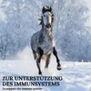 Stiefel Black Cumin Oil for Horses 100% Natural Oil Cold