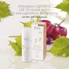 eco cosmetics Bio CC Cream Day Cream Tinted with OPC,