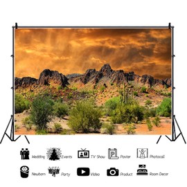 Desert Backdrop Sand Dune Cactus Photography Background Mexico Rocky Mountains Backdrop Sunset Natural Scenery Landscape Background for Men Boys Photo Studio Portraits7x5ft