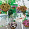 ZeeDix 3Pcs 14 Inch Coconut Liners for Planters, Round Hanging