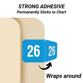 2026 Year Labels, Doctor Stuff 2026 Chart Stickers, Light Blue/White Color Coded, Reynolds & Reynolds Style, USA Made Year Stickers for End Tab File Folders, 500/Roll, 1 Roll, 3/4" x 1-1/2"