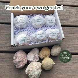 Crack your own geode sampler pack 6 different break geodes crystals