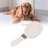 Electronic Measure Spoon Electric Accurate Digital Pet Kitchen Food Measuring