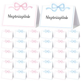 100pcs Bow Place Cards for Table Setting Bowknot Name Cards for Blank Seat Assignment Label Coquette Birthday Party (Pink+Blue)