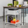 HDANI 2 Tier Under Desk Printer Stand with Storage,Microwave Storage
