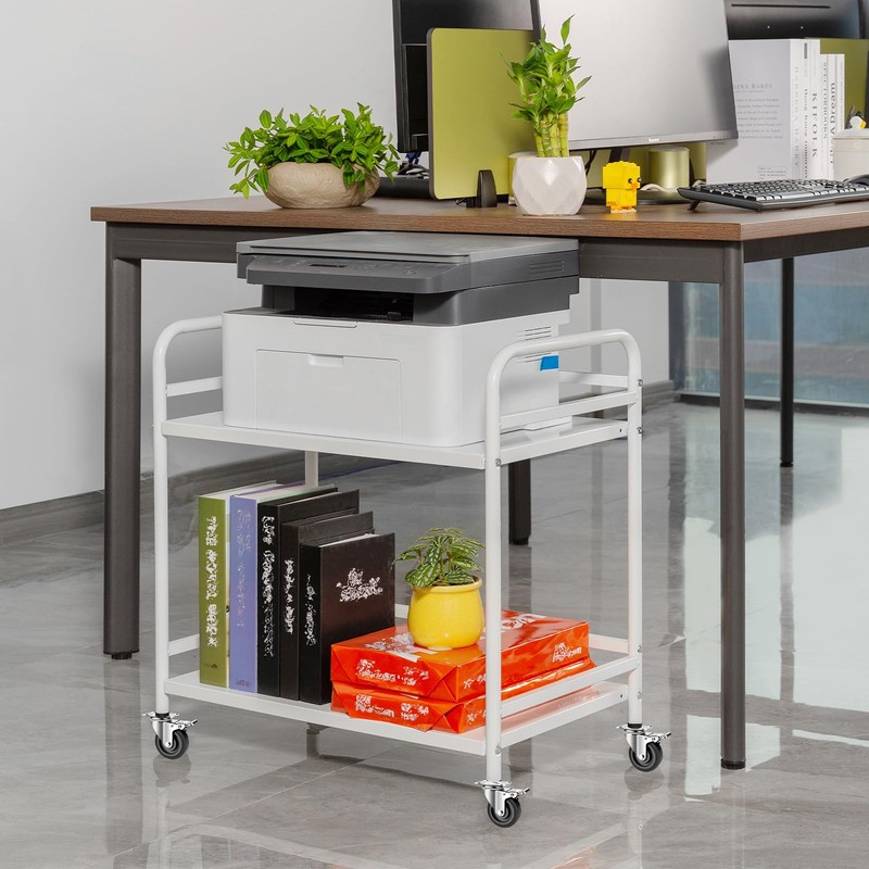 HDANI 2 Tier Under Desk Printer Stand with Storage,Microwave Storage